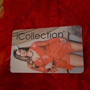 Icollection nwt lingerie red lace set
